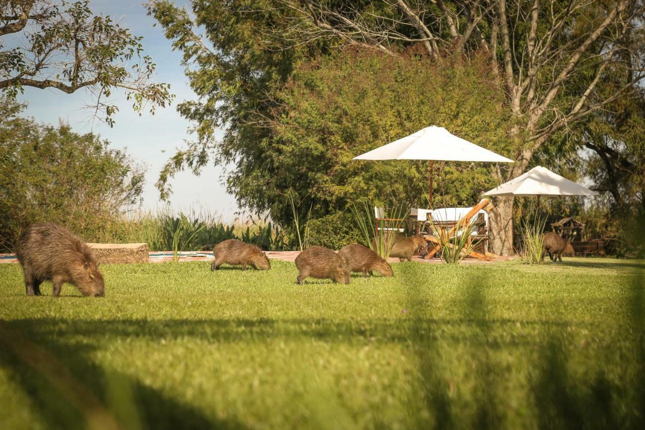 Aguape Lodge Colonia Carlos Pellegrini  Eksteriør billede
